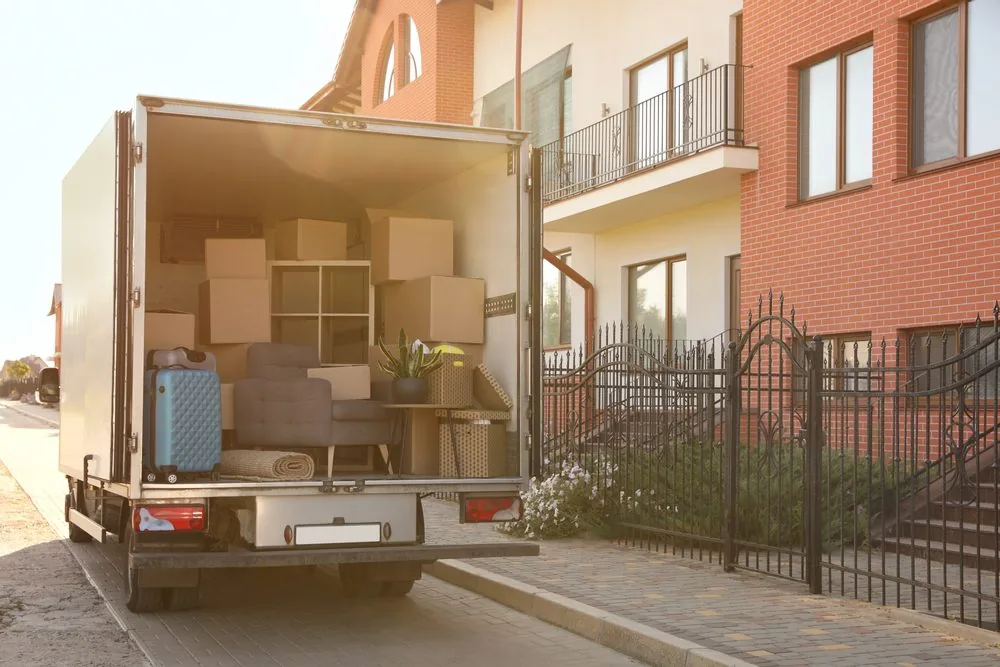 Transitioning from City Life to Suburban Bliss